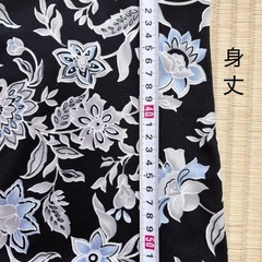 レディーストップスの画像