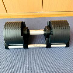 2個セット　NUO BELL FLEXBELL フレックスベル 可変式ダンベル 32kgの画像