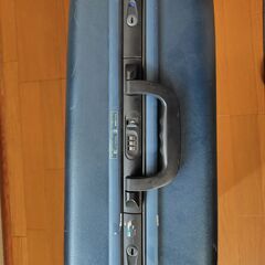 キャリーバック　ACE EXACTの画像