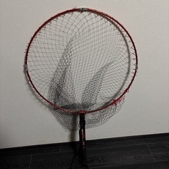 タモ網の画像
