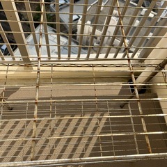 【早め希望】ラック 収納の画像