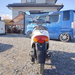 ホンダ AF27 Dio No62の画像