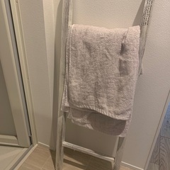 🪜【急ぎ】ヴィンテージ風 フランス語刻印 ミニラダー（タオルラックとして使用）の画像