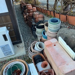 鉢植えの鉢！の画像