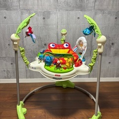 プレゼントに★フィッシャープライス★ レインフォレスト・ジャンパルーの画像