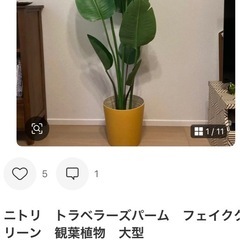  人工観葉植物　フェイクグリーン　オーガスタ1150【フェイクグリーン・ニコライ・人工観葉植物・トラベラーズパーム】の画像