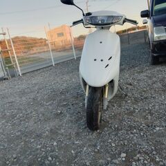 ホンダ AF35 Dio ZX  No62の画像