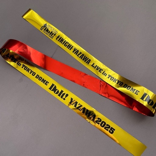 矢沢永吉☆東京ドーム公演Do It!☆豪華8点セット！