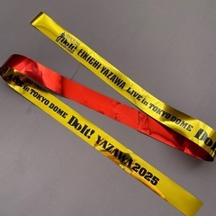 矢沢永吉★東京ドーム公演Do It!★豪華8点セット！の画像