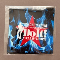 矢沢永吉★東京ドーム公演Do It!★豪華8点セット！の画像