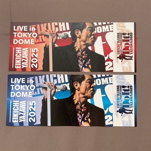 矢沢永吉☆東京ドーム公演Do It!☆豪華8点セット！