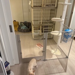 BingoPaw 大型犬用サークル 高さ80 130 特大 の画像