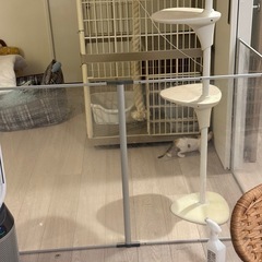 BingoPaw 大型犬用サークル 高さ80 130 特大 の画像