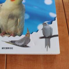オカメインコ初心者オーナー向け実用書とオカメインコの実録漫画の画像