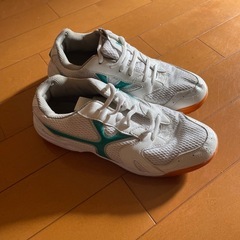 体育館シューズ　23.5cmの画像