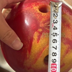 【本日であれば無料】ボーリング 女性用の画像