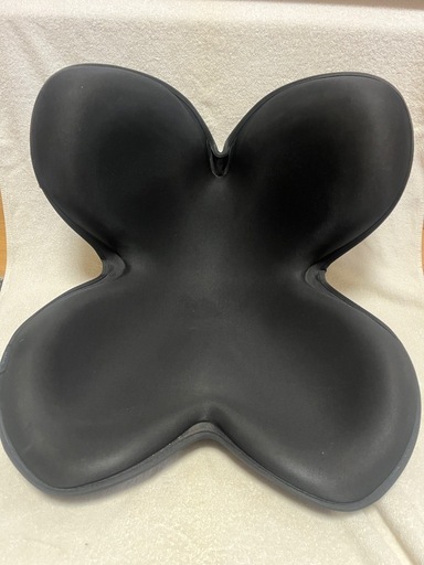 MTG スタイルスタンダード 骨盤矯正シート 姿勢矯正クッション 座椅子