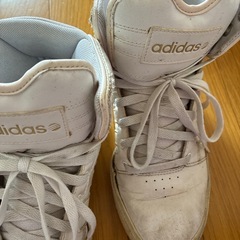 adidas  スニーカーの画像