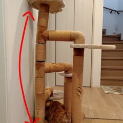 キャットタワー　難あり　＊お話中の画像
