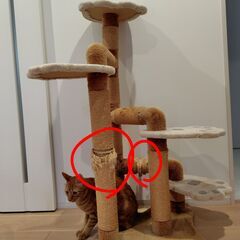 キャットタワー　難あり　＊お話中の画像