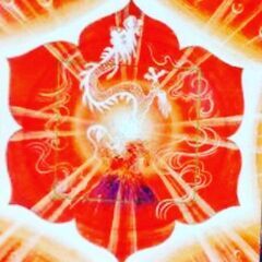 お腹を温めて🔥元気になるヨガ🏋️‍♀️🧘‍♀️の画像