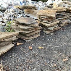 庭の平らな石の画像