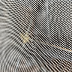 popomi ベビーサークル　120×70
　　の画像