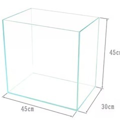 引き取り限定　45cm 45cm 30cm  ガラス水槽　　　　の画像