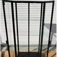 IKEA　コレクションボード　ガラスケース MILSBO ディスプレイ　キャビネット ショーケース 棚　ラック　サイド　イケア 676ZSの画像