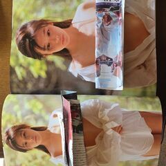 ビビアンスーの画像