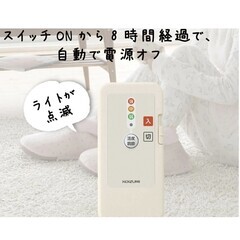 ぬくぬくフィットでうっとり気分電気スリッパの画像