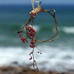 サンキライ リース の画像