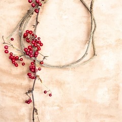 サンキライ リース の画像