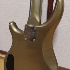 41. Fernandes Bassの画像