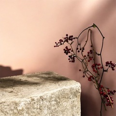 サンキライ リースの画像