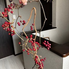 サンキライ リースの画像