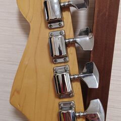 40. Great Lake Deluxeの画像