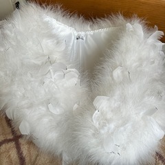 成人式 ストール、バッグ、草履の画像