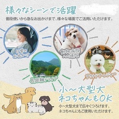 ペットドライブシート・ボックスの画像