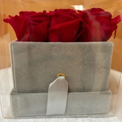 🌹赤い　バラの画像