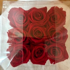 🌹赤い　バラの画像