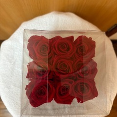 🌹赤い　バラの画像