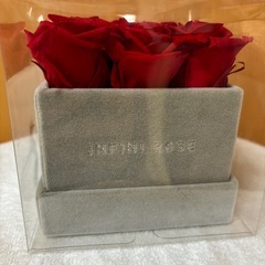 🌹赤い　バラの画像