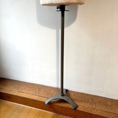 レディース トルソー マネキンの画像