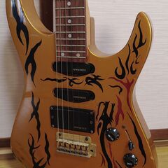 47. Fernandes guitarの画像