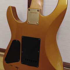 47. Fernandes guitarの画像