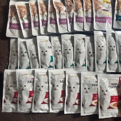 猫の餌などの画像