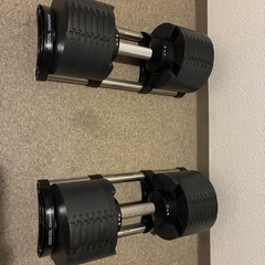 可変式ダンベル（フレックスベル）とワークベンチのセットの画像