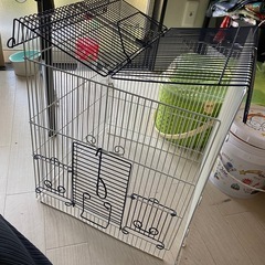 HOEI 鳥籠の画像