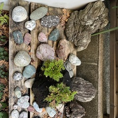 石(大量)の画像